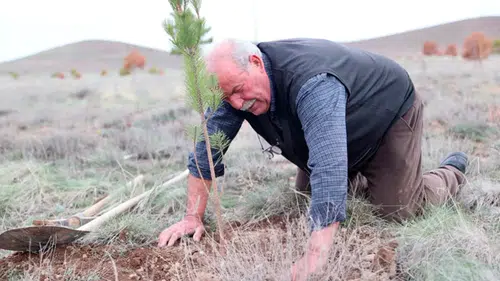 Bozkırda yükselen bir doğa mucizesi: 12 bin fidanla gelen hayat