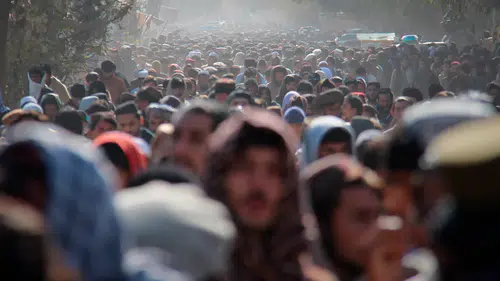 Dünyada "Yalnız erkek" krizi: Üreme dengesi erkeklerin aleyhine dönüyor