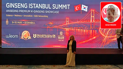 Kore İstanbul'da