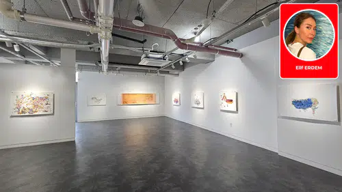 Gökyüzünün Düştüğü Yer: Şükran Mertcan ile Güney Kore’de Masalsı Bir Yolculuk