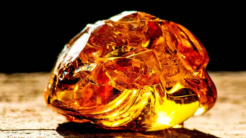 Dünyanın en eski kehribarı keşfedildi: 385 milyon yıllık bulgu bilim dünyasını heyecanlandırdı