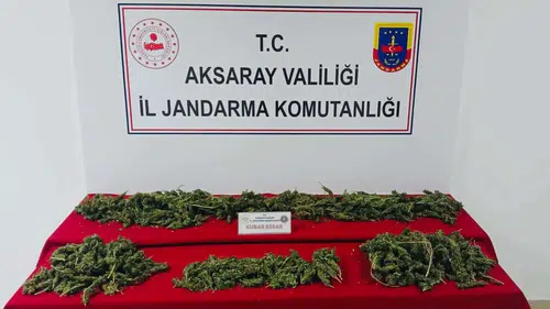 Jandarmadan dev narkotik darbesi: 32 ilde 298 kişi cezaevine gönderildi