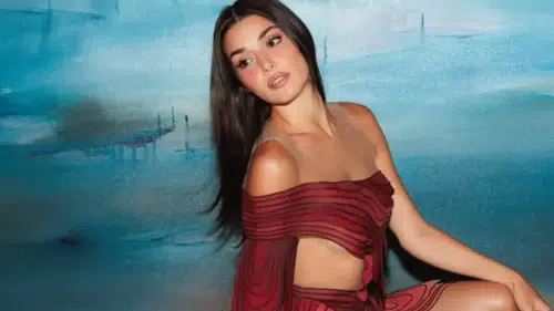 Hande Erçel, Teşkilat iddiasının aksine iki film projesine hazırlanıyor
