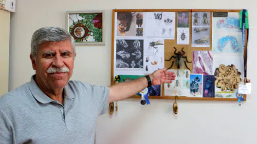 Bilim dünyasında duygusal veda: Profesör keşfettiği türe kaybettiği oğlunun ismini verdi