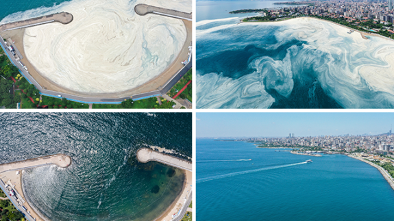 Marmara Denizi'nin İstanbul kıyılarında müsilaj, yok denilecek kadar azaldı