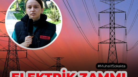 Muhalif sokakta, Elektrik zammını sorduk