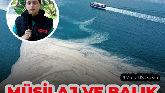 Muhalif sokakta, Denizlerdeki “Müsilaj” balık tüketimini etkileyecek mi? sorduk