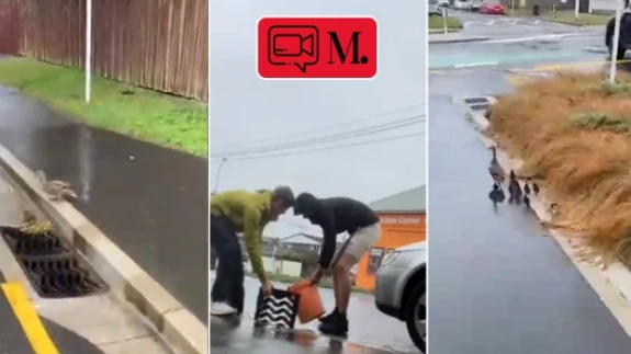 Ördek yavrularının, yağmur giderinden kurtarılma anları