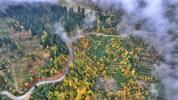 Trabzon'un yüksek kesimleri sonbahar renkleriyle büyülüyor
