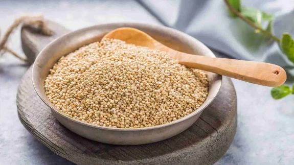 Kinoa nasıl pişirilir, faydaları nelerdir, en doğru pişirme yöntemi nedir?