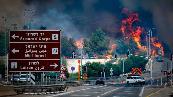 İsrail'de orman yangınları ülkeyi sardı: Uluslararası yardım talep edildi