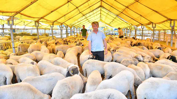 İstanbul kurban satış ve kesim yerleri |  2025 Kurban Bayramı