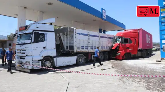 Denizli'de arının soktuğu TIR sürücüsü istasyona daldı