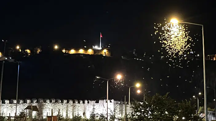 Ardahan’da beyaz kelebeklerin “ölüm dansı” yeniden başladı: Geceyi aydınlattılar