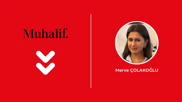 Aynaya Bakan Şehir: Heidelberg ve Maymun