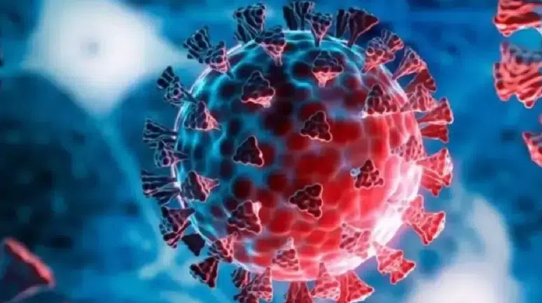 Mutasyona uğradı, güçlendi: H3N2 virüsü Türkiye’de görülmeye başladı