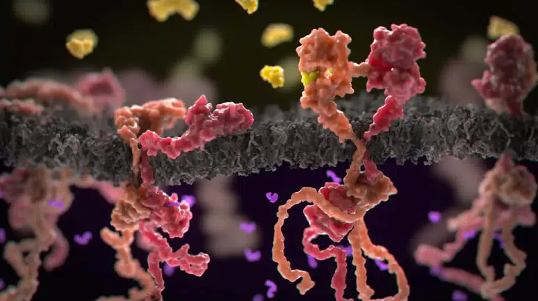 Gen düzenleme tekniğiyle ‘tedavi edilemez’ kan kanserinde umut veren sonuçlar