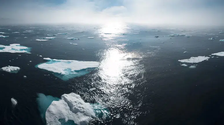 Küresel ısınma dünya nüfusunun üçte birini hareketsizliğe mahkum ediyor