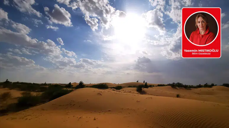 Çöl tavşanla değil, doğayı taklit ederek yeşerir