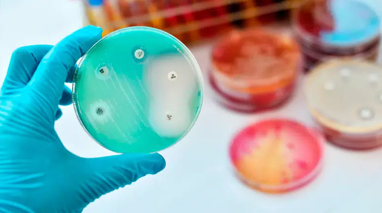 İklim krizi süper bakterileri besliyor: Antibiyotik direnci salmonellada yüzde 10 arttı