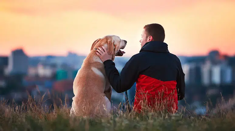 Araştırma: Köpek sahibi olmak ömrü uzatıyor mu? Bilimsel çalışmalar ne söylüyor?