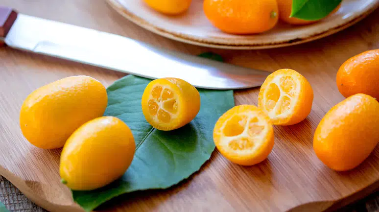 Kumkuat nasıl yenir? Kabuğuyla tüketilen şifa deposu kamkat rehberi