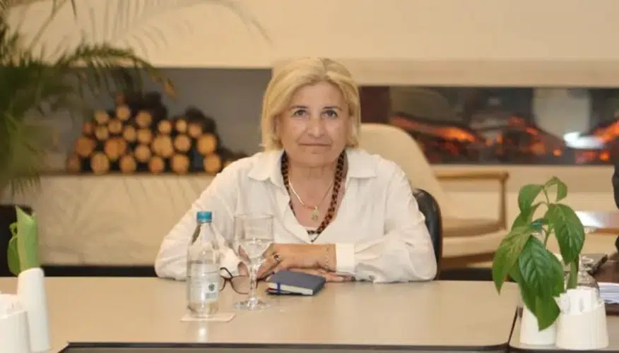 Adalar Belediye Başkan Vekili Medine Pamuk istifa etti: Yeni seçim tarihi belli oldu