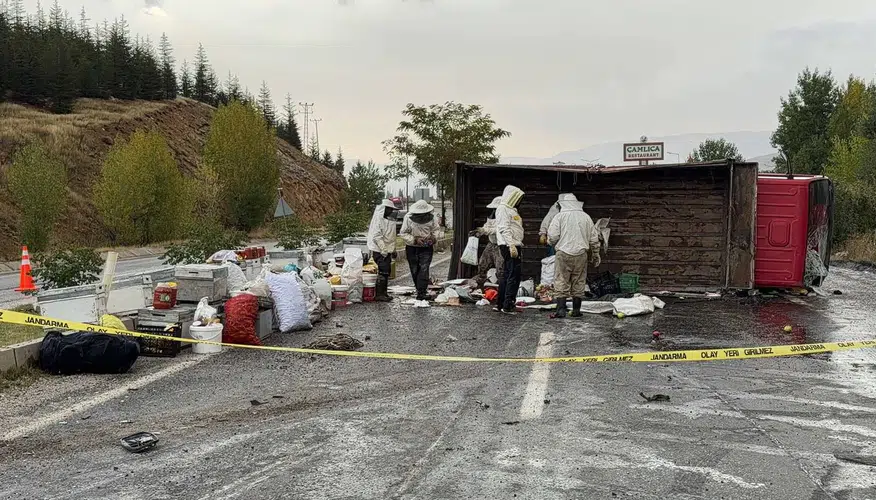 Malatya'da arı kovanı taşıyan araç kaza yaptı: 3 yaralı