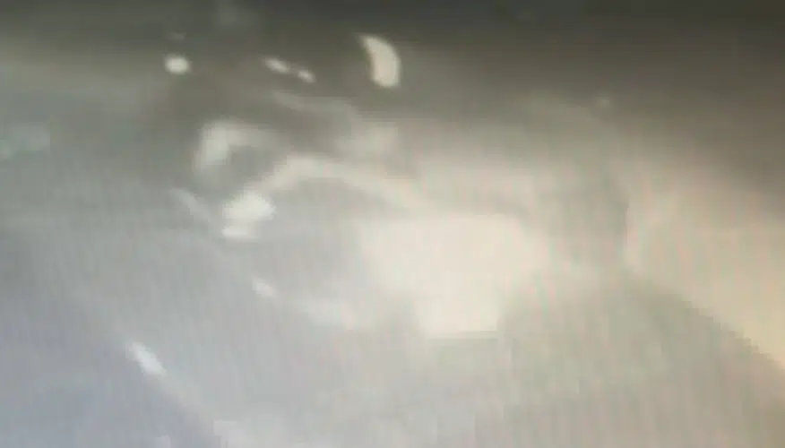 Bağcılar cinayetinin firarisi Çeşme'de kıskıvrak yakalandı