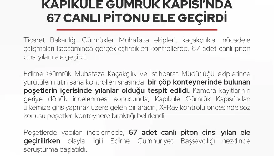 Kapıkule'de şoke eden keşif: Çöp konteynerinden 67 canlı piton çıktı