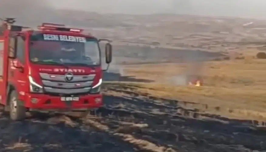 Besni'de korkutan anız yangını: Ekipler hızla müdahale etti