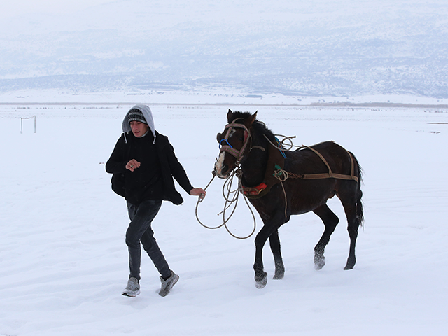 Bitlisliler karla kaplı ovada at arabasıyla tur attı