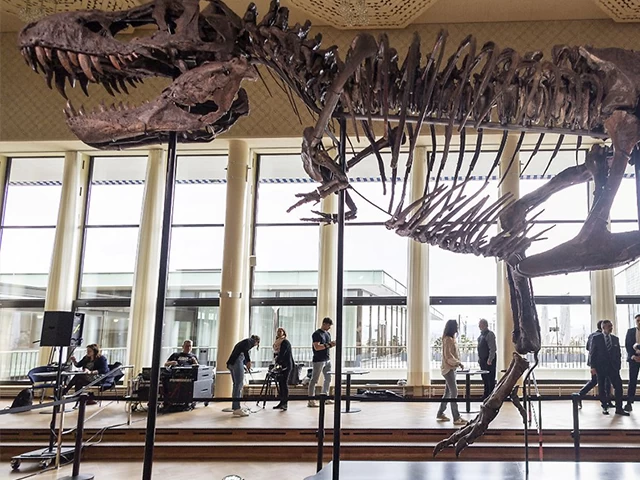 İsviçre'de açık artırmaya çıkarılan T-Rex iskeleti 6,2 milyon dolara satıldı.