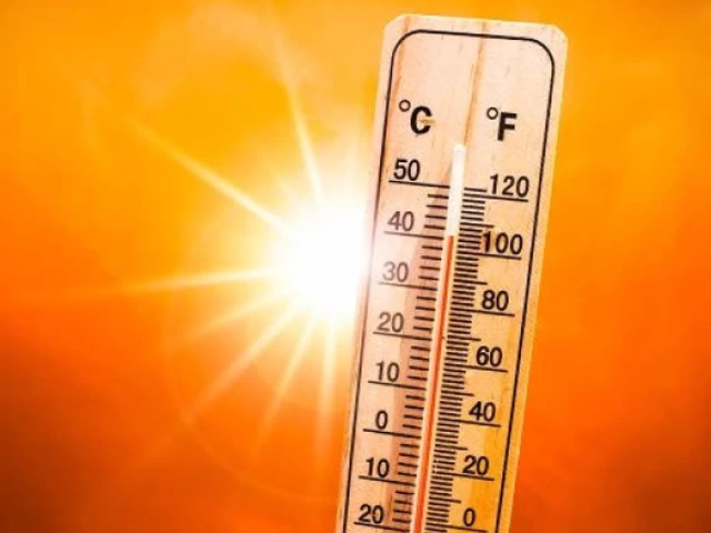 Aşırı sıcaklarda nasıl serin ve sağlıklı kalabiliriz?