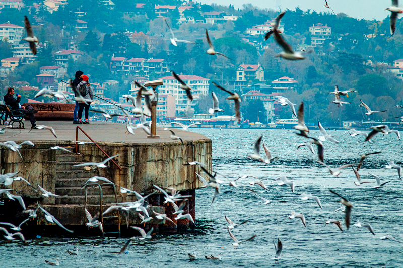 Boğaz Balıkçıları 9