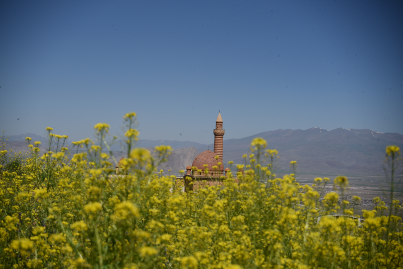 Tarihi İshak Paşa Sarayı Sarı Çiçeklerle Bir Başka Güzel