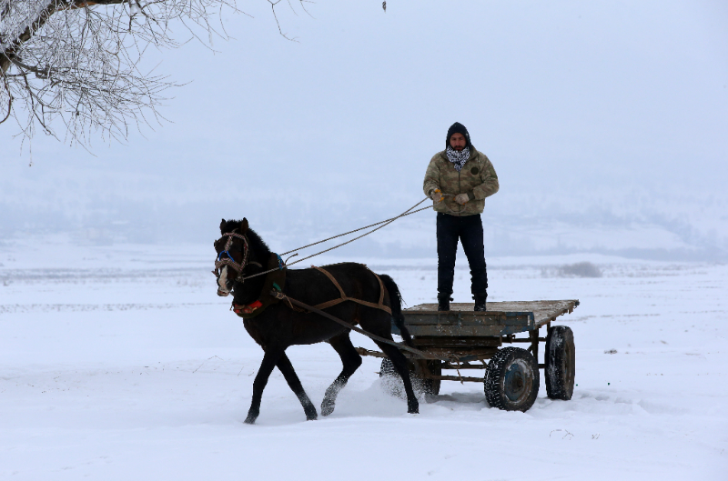 Bitlisliler karla kaplı ovada at arabasıyla tur attı