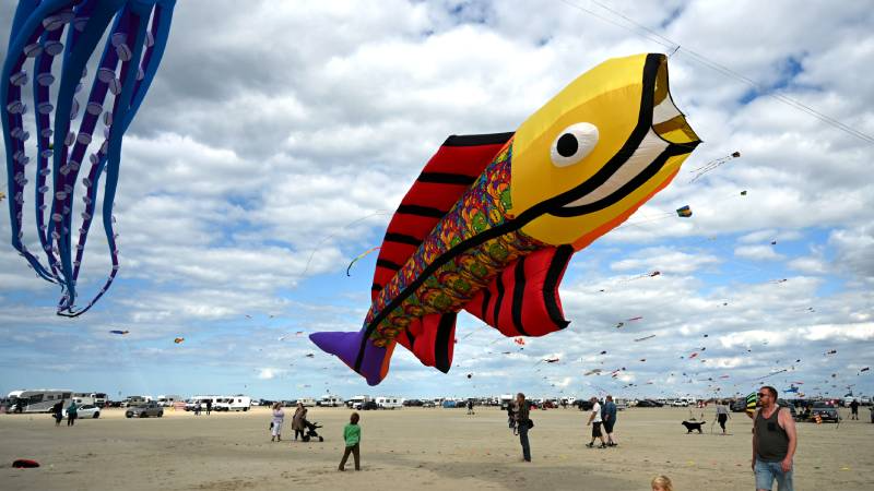 Danimarka'da Romo Uçurtma Festivali düzenlendi 9