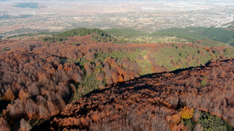 Boyalı Dağı'nın tabloyu andıran ağaçları dronla görüntülendi 8