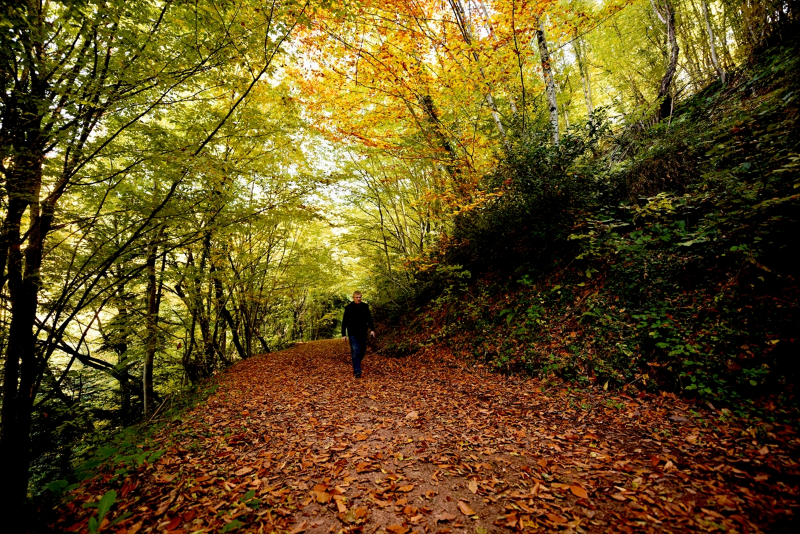 Kastamonu'daki Loç Vadisi ziyaretçilerini sonbahar renkleriyle ağırlıyor 9