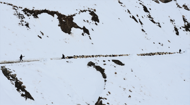 Kışın kar esareti yaşanan köyde, sürülerin kente göçü başladı 1