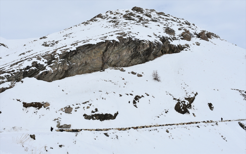 Kışın kar esareti yaşanan köyde, sürülerin kente göçü başladı 5