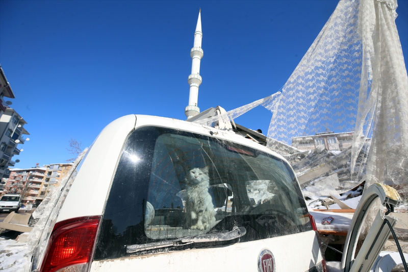 Malatya'da beş katlı binanın yalnızca yangın merdiveni ayakta kaldı 2