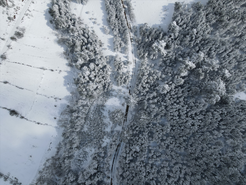Kastamonu'da karla kaplanan ormanlar havadan görüntülendi 9
