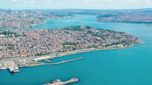Marmara Denizi'nde balıklara denizanası tehdidi