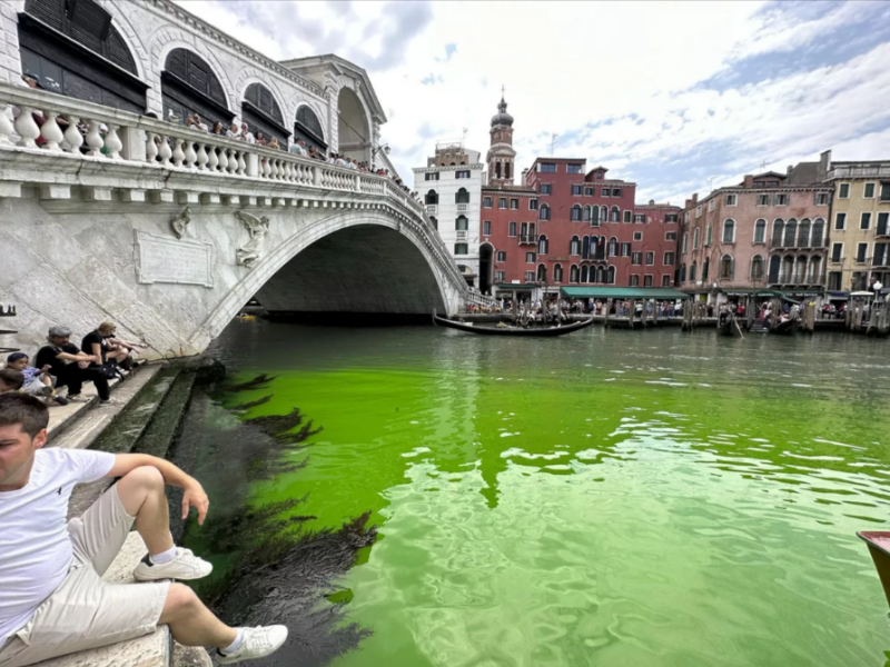 Venedik Kanalı yeşile büründü, soruşturma başlatıldı