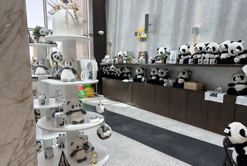 Katar'ın sevimli panda çifti, Orta Doğu'da bir ilke imza atıyor 13