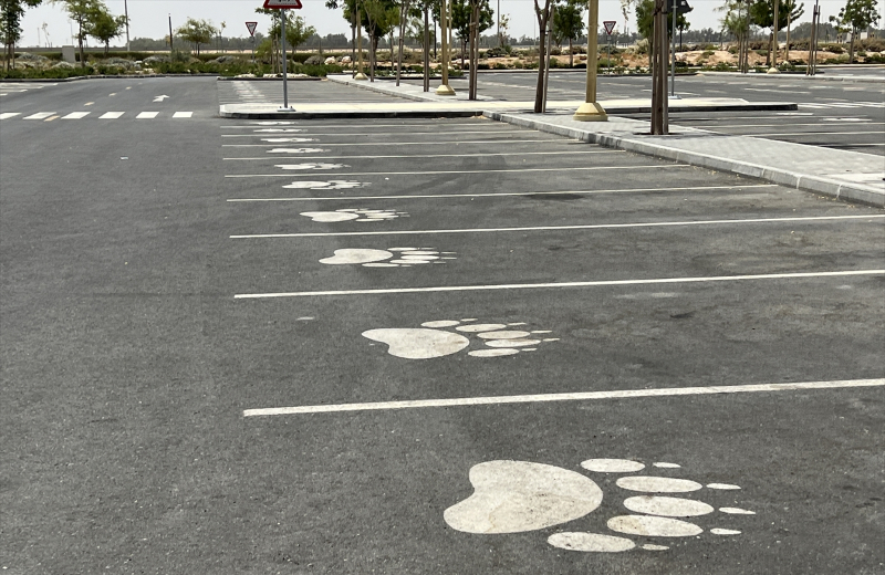 Katar'ın sevimli panda çifti, Orta Doğu'da bir ilke imza atıyor 15