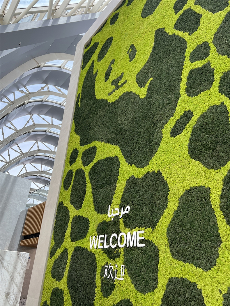 Katar'ın sevimli panda çifti, Orta Doğu'da bir ilke imza atıyor 19