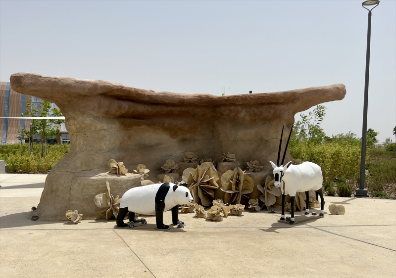 Katar'ın sevimli panda çifti, Orta Doğu'da bir ilke imza atıyor 21